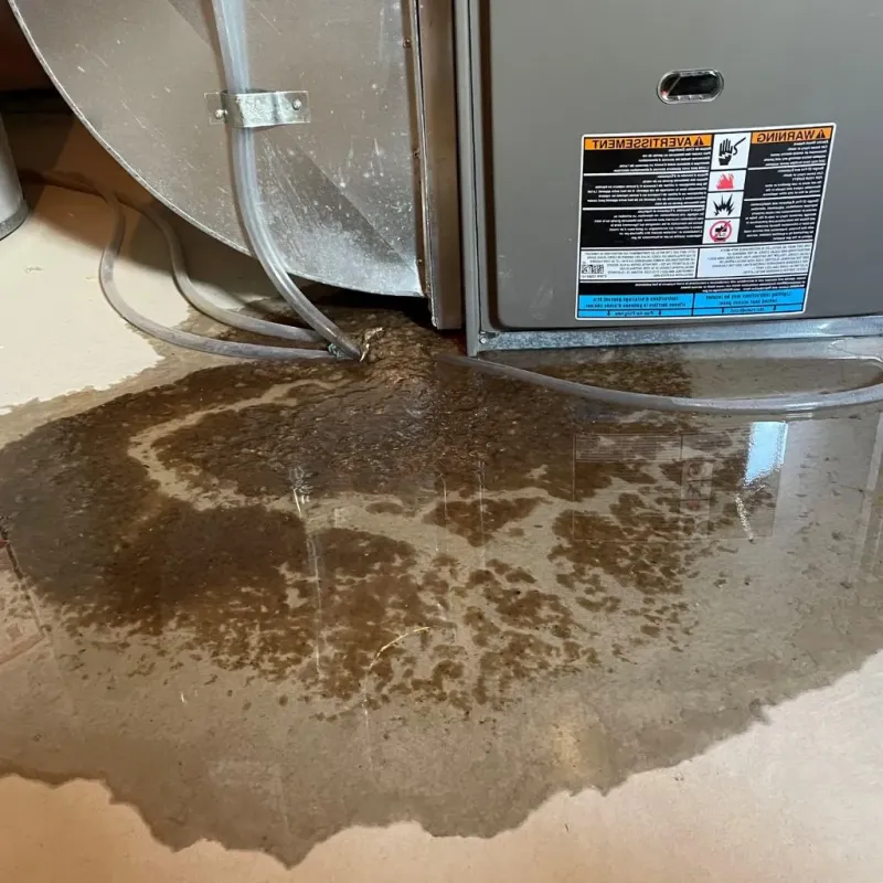 Pipe Burst and Leak Restoration in Snyder County, PA