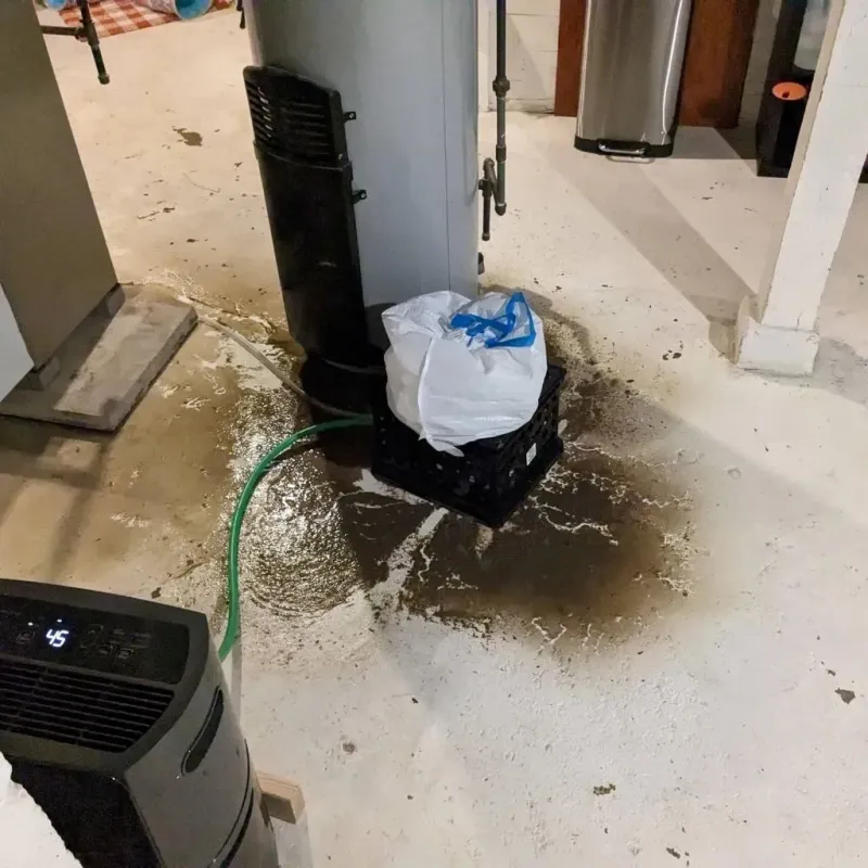 Sewage Backup Cleanup Service in Snyder County, PA